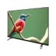 Arçelik A32 C 685 A HD Ready LED TV, ekranda renkli kuş görüntüsüyle siyah tasarım