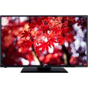 SEG 50SD3100 Full HD FHD LED televizyon, ekranda kırmızı akçaağaç yaprakları görüntüsüyle önden görünür.