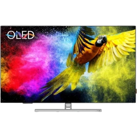Grundig 65 GO 990A Ultra HD 4K OLED televizyon, siyah çerçeveli ekranında renkli papağan görüntüsü