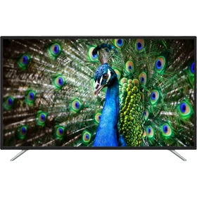 Sunny SN55LEDA38 Full HD FHD TV, siyah çerçeveli televizyon ekranında tavus kuşu görüntüsü