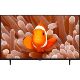 Arçelik A43 D 695 B Full HD LED TV, ekranda mercan resifinde yüzen turuncu palyaço balığı görüntüsü