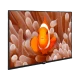 Arçelik A43K 586 Hotel Full HD FHD LED TV, ekranda mercanlar arasında turuncu palyaço balığı görüntüsü