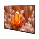Arçelik A40K 586 Hotel Full HD LED TV, ekranda turuncu palyaço balığı görüntüsüyle önden görünüm