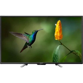 Axen 49 inç LED siyah Full HD televizyon, ayaklı tasarım ve ekranda çiçek üzerindeki sinek kuşu görüntüsü