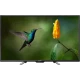 Axen 49 inç LED siyah Full HD televizyon, ayaklı tasarım ve ekranda çiçek üzerindeki sinek kuşu görüntüsü