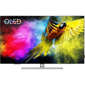 Grundig 65 GO 975A Ultra HD 4K OLED TV, ince çerçeveli ve renkli papağan görüntülü siyah televizyon