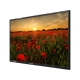 Arçelik A32K 680G HD Ready HD TV, kırmızı gelincik tarlası görüntüsü sunan siyah LED televizyon
