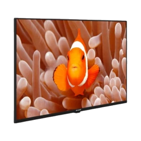 Arçelik A43K 694G Hotel Full HD FHD LED televizyon, ekranda turuncu palyaço balığı görüntüsüyle önden görünüm