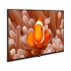 Arçelik A43K 694G Hotel Full HD FHD LED televizyon, ekranda turuncu palyaço balığı görüntüsüyle önden görünüm
