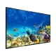 Beko B43K 680G Full HD FHD TV, siyah çerçeveli ekranında renkli mercan resifi görüntüsüyle önden görünüm