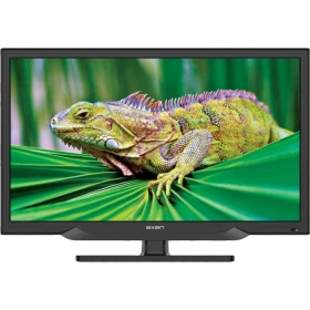 Axen Lavita Uydu Alıcılı siyah 23 inç HD Ready LED televizyon ekranında yeşil iguana görüntüsü