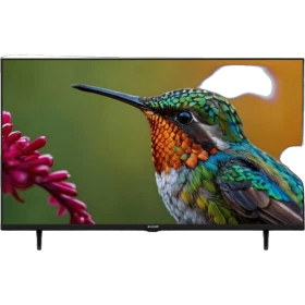 Arçelik A43 D 697 B Full HD LED televizyon, siyah çerçeveli ekranında renkli kuş görüntüsü