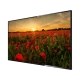 Arçelik A40K 680G Full HD LED televizyon, siyah çerçevesinde gelincik tarlası görüntüsü