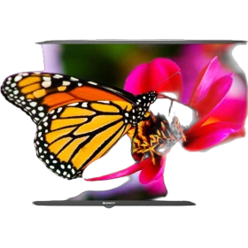 Sunny SN43DLK071 Full HD FHD TV, ekranında renkli kelebek ve pembe çiçek görüntüsüyle önden görünüm