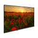Arçelik A32K 690 HD Ready LED TV, siyah çerçeveli; ekranda gün batımında kırmızı gelincik tarlası