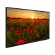 Arçelik A32K 582 HD Ready HD TV, siyah çerçeveli LED televizyonda gün batımında gelincik tarlası görüntüsü