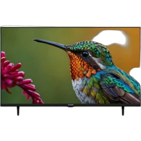 Arçelik A43 D 697 B Full HD LED televizyon, siyah çerçeveli ekranında renkli kuş görüntüsü
