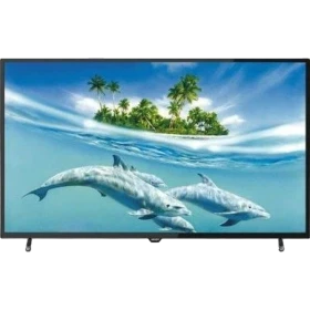 Sunny SN49DLK019 Full HD FHD TV, siyah çerçeveli ekranında yunuslar ve tropik ada görüntüsü kaplıyor