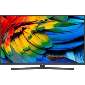 Beko B55 A 955 A Ultra HD 4K TV, siyah çerçeveli ekranında renkli tüy detaylarıyla duran televizyon