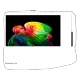 LG OLED77B65LA Ultra HD 4K televizyon; canlı renkler ve keskin detaylarla, genel renkli ince tasarım