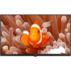 Arçelik A32HH 500A4-A-BI HD Ready LED televizyon, ekranda renkli palyaço balığı görüntüsüyle