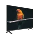 Sunny SN50FMN501 Ultra HD 4K TV, siyah çerçeveli ekranda dal üzerindeki renkli papağanı gösteriyor