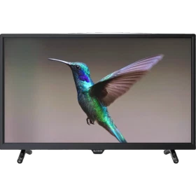 Sunny SN40DIL012 Full HD FHD TV, ekranda uçan renkli sinek kuşu görüntüsüyle siyah televizyon