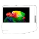 LG OLED55B65LA 55 inç Ultra HD 4K OLED televizyon, canlı renk efektli ekran görüntüsü, genel renk