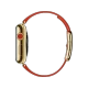 Apple Watch Edition 38 mm sarı altın kasa ve parlak kırmızı kayışın yandan görünümü
