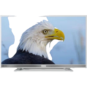 Arçelik A22-LW-5433 Full HD FHD LED televizyon, ekranda kartal görüntüsüyle önden görünüm