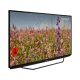 Grundig Belgrad 50 GFU 7905 B Ultra HD 4K siyah LED televizyon çiçekli doğa görüntüsü gösteriyor