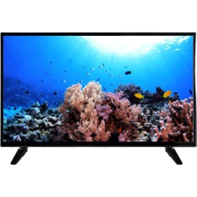 SEG 50SCU6000 Ultra HD 4K LED televizyon, siyah çerçeveli ekranında renkli mercan resifi görüntüsü