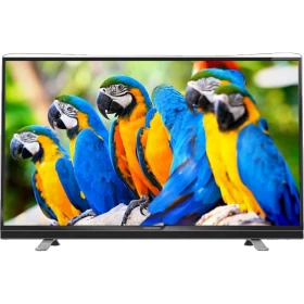 Grundig G42L 8543 4B Full HD FHD LED televizyon, ekranda renkli papağan görüntüsüyle